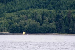 Whew! Teams Sea Runner and Team Puffin made it through Seymour Narrows on the flood!